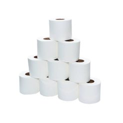 Soft N Cool Toilet Tissues Rolls 2 Ply, 100 Sheets  - 10 roll x 10 packets