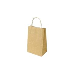 solpak-kraft-brown-paper-bag-twisted-handle