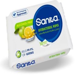 Sanita - Anti-Bacterial Wipes Citrus Apple